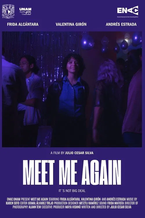 Meet Me Again movie poster
