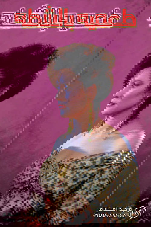 Spicy Falafel movie poster