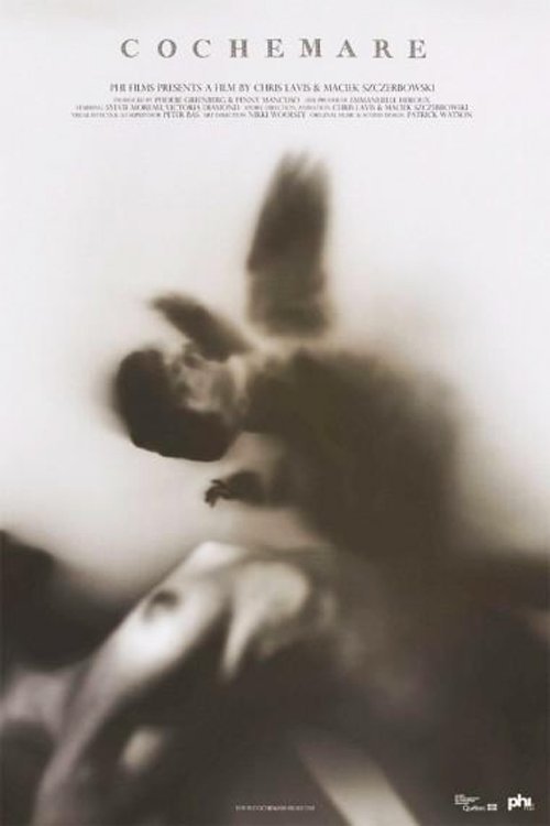 Poster do filme Cochemare