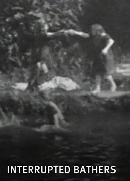 Interrupted Bathers movie poster
