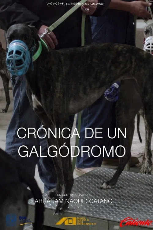 Crónica de un galgódromo movie poster