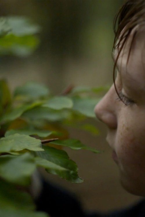 Pflaumen movie poster