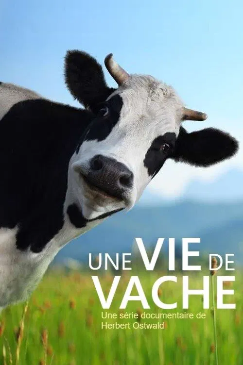 Poster da série The Secret Life of Cows