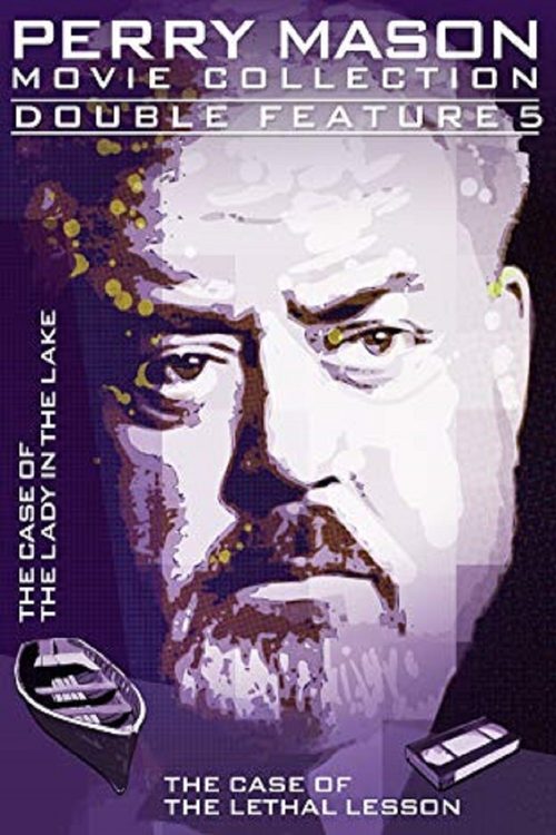 Perry Mason: The Case of the Lady in the Lake movie poster