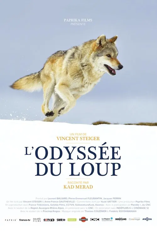 A Wolf's Journey movie poster