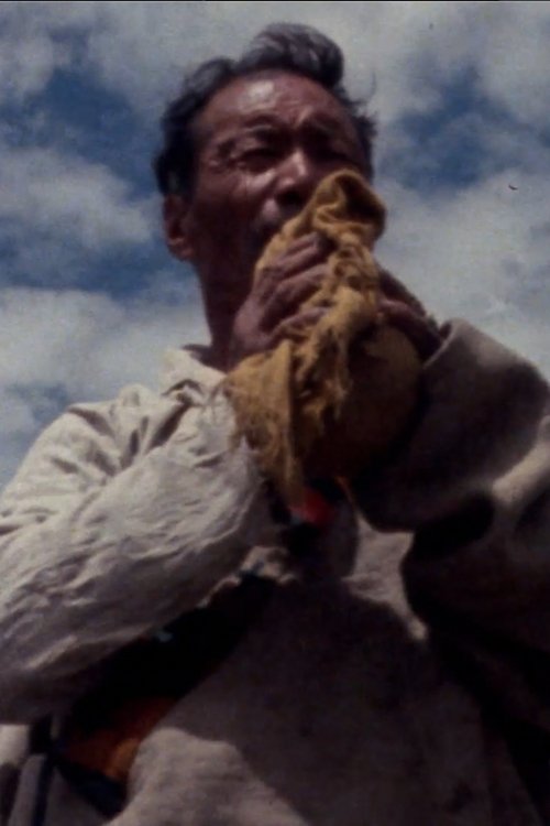 In the Birthplace of the Tibetan Nationality movie poster