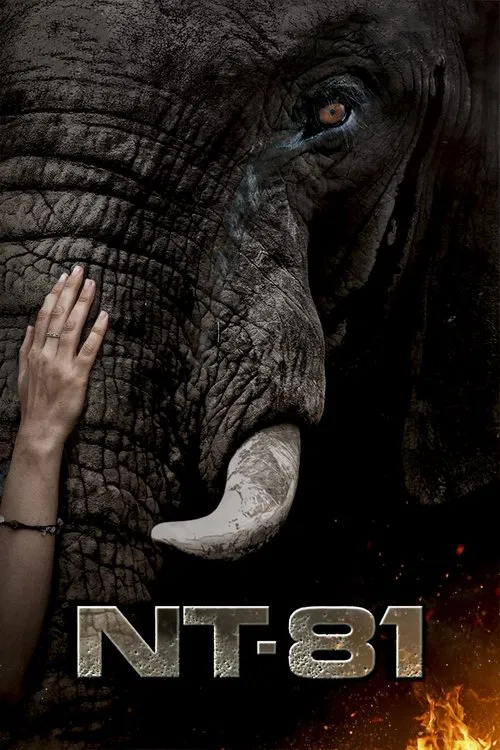 NT81 movie poster