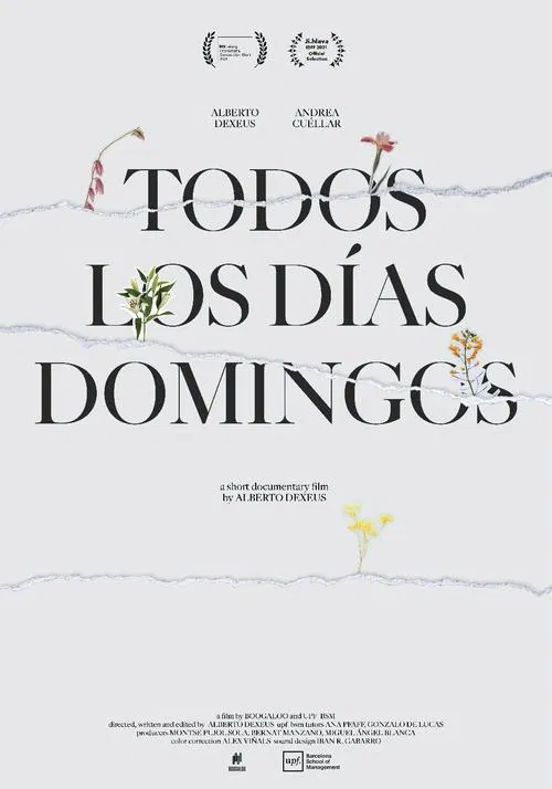 Everyday Is Like Sunday movie poster