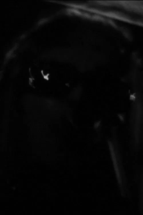 Poster do filme One Roll in the Blackness