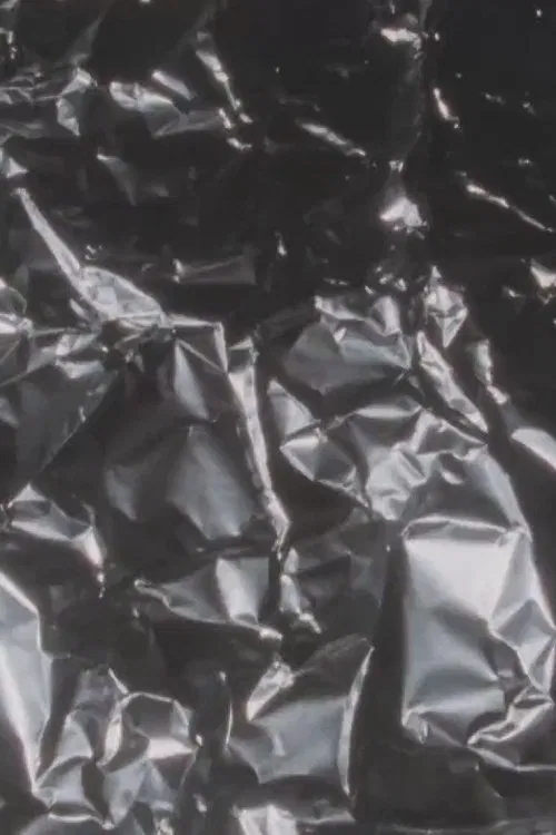 Silver Screen movie poster