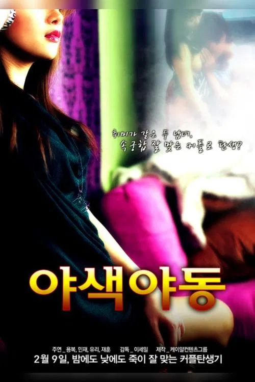 Sex Couple movie poster