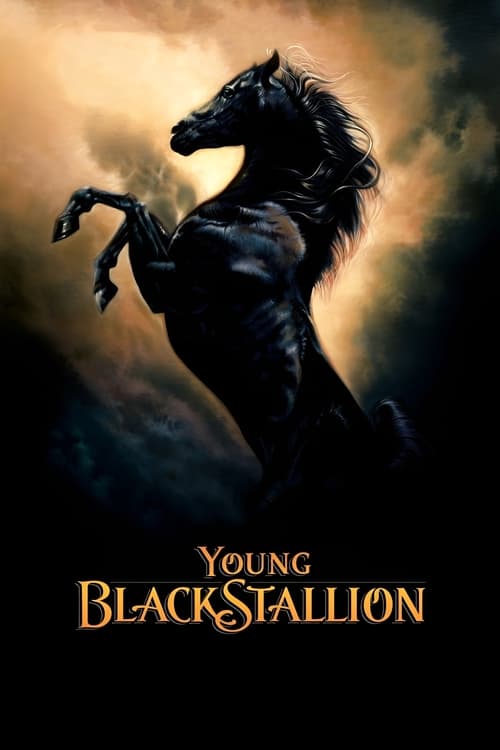 Young Black Stallion movie poster