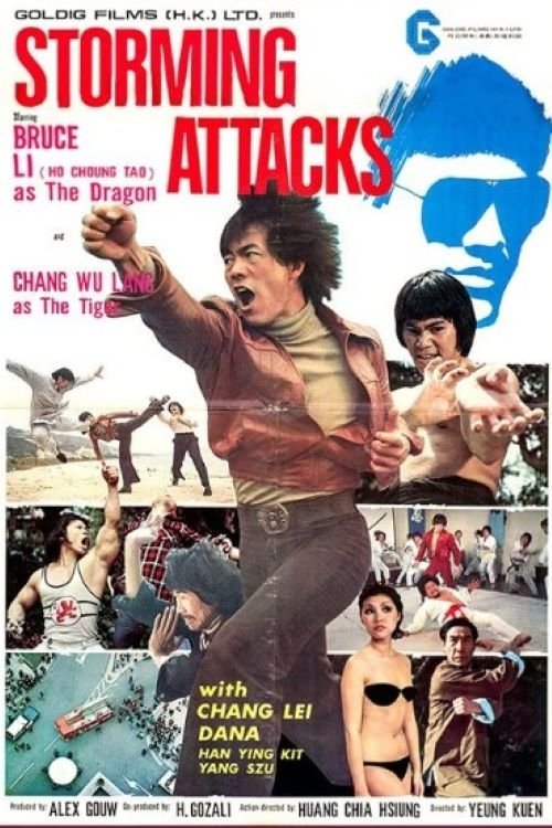 Storming Attacks movie poster