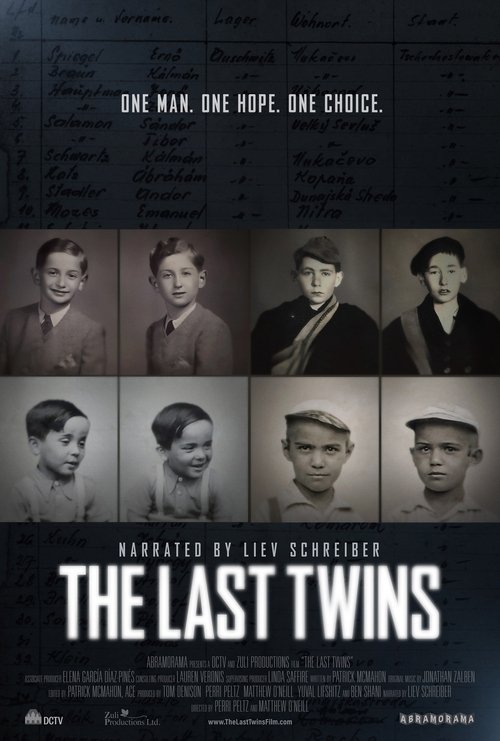 The Last Twins movie poster
