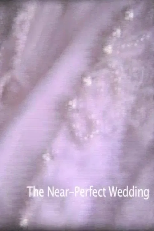 Near-Perfect Wedding movie poster