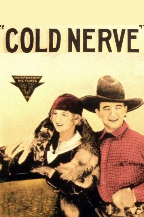 Poster do filme Cold Nerve