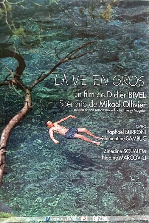 La vie en gros movie poster
