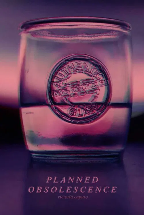 Poster do filme Planned Obsolescence