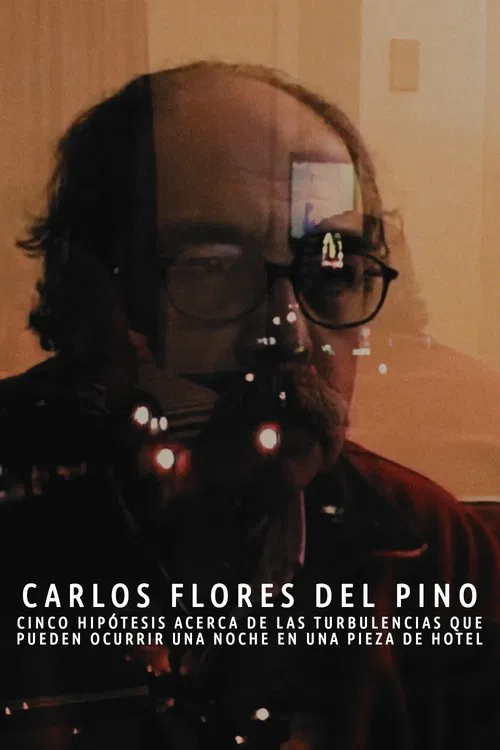 Cinco hipótesis acerca de las turbulencias que pueden ocurrir una noche en una pieza de hotel movie poster
