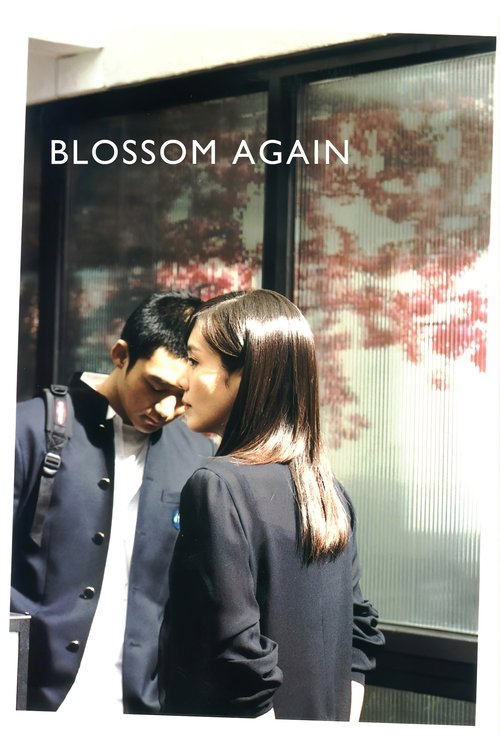 Blossom Again movie poster