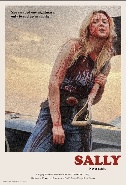 Sally movie poster