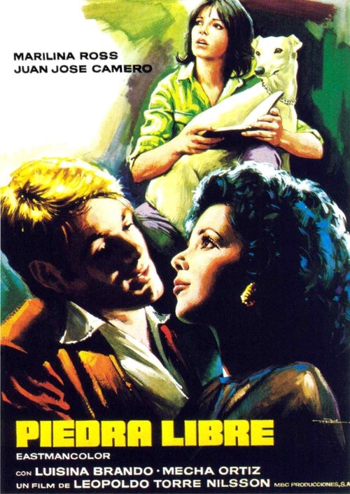 Piedra libre movie poster