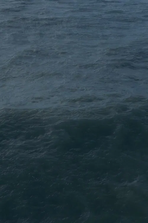 Poster do filme Twenty Nine Minutes at Sea
