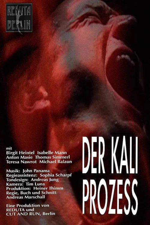 Der Kali Prozess movie poster