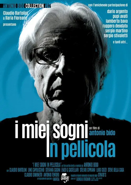 I Miei Sogni in Pellicola movie poster