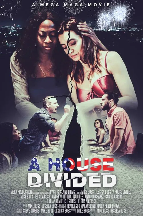 A House Divided movie poster