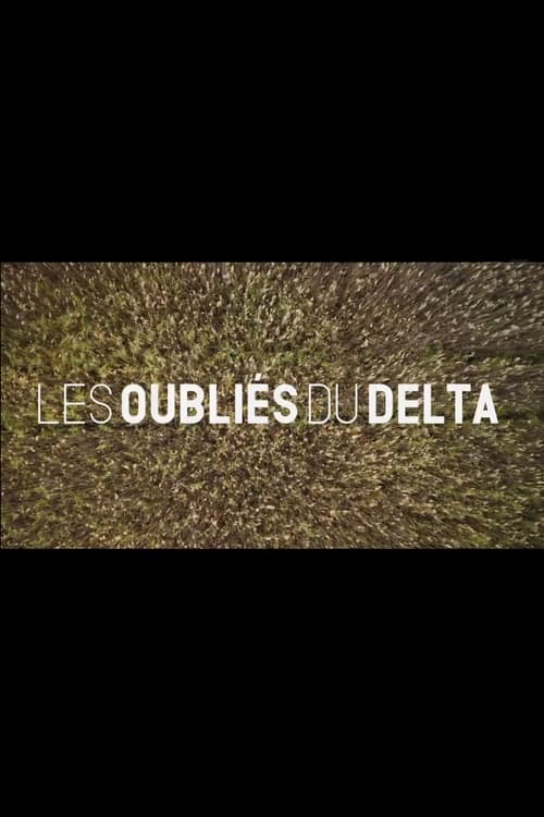 Les oubliés du Delta movie poster