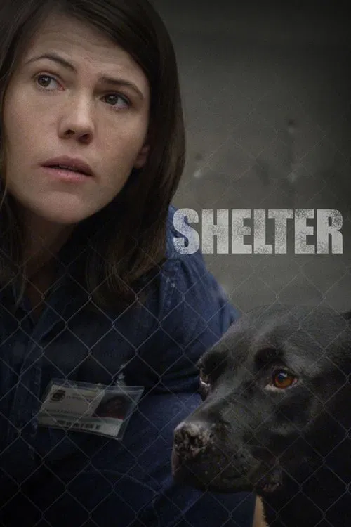 Shelter movie poster