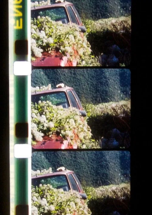 Poster do filme Envío 34