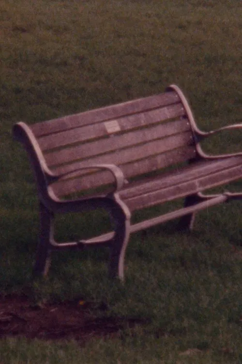 Municipal Relaxation Module movie poster