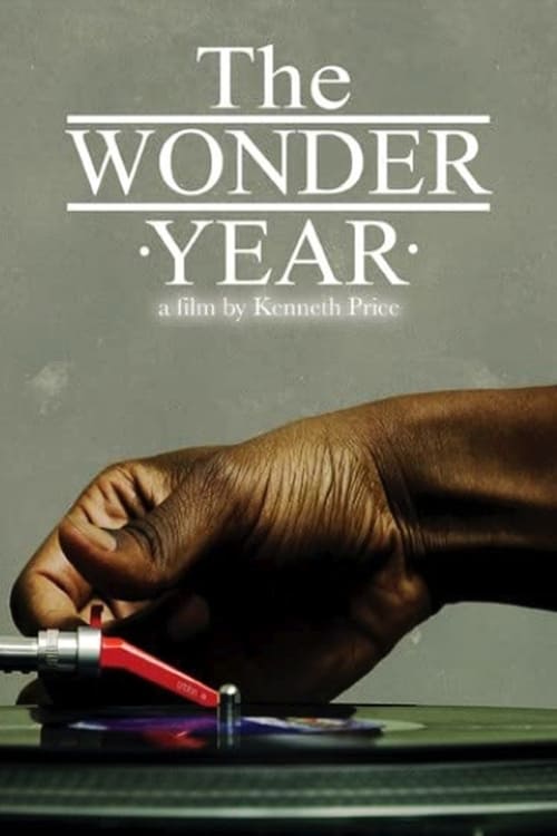 Poster do filme The Wonder Year