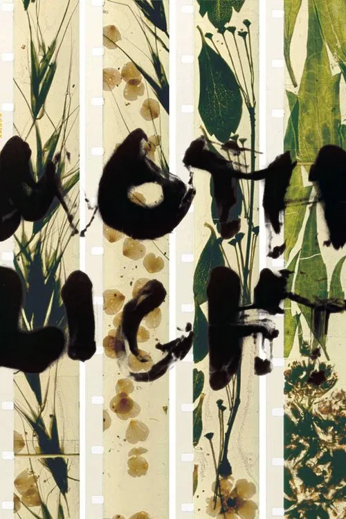 Poster do filme Mothlight