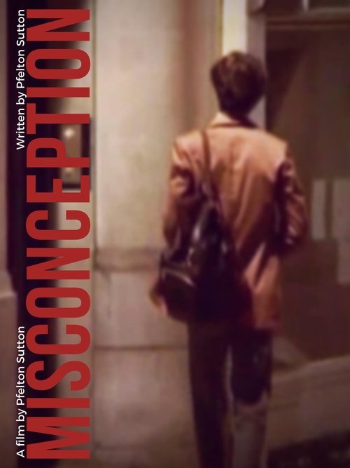 Poster do filme Misconception
