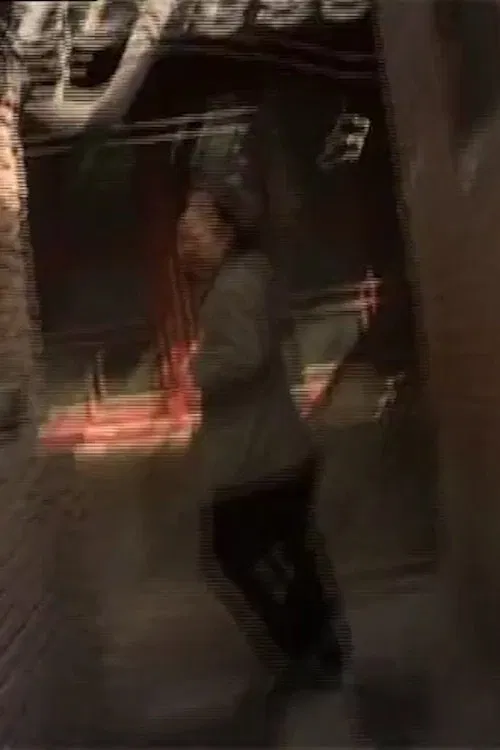 Goodnight Beijing movie poster