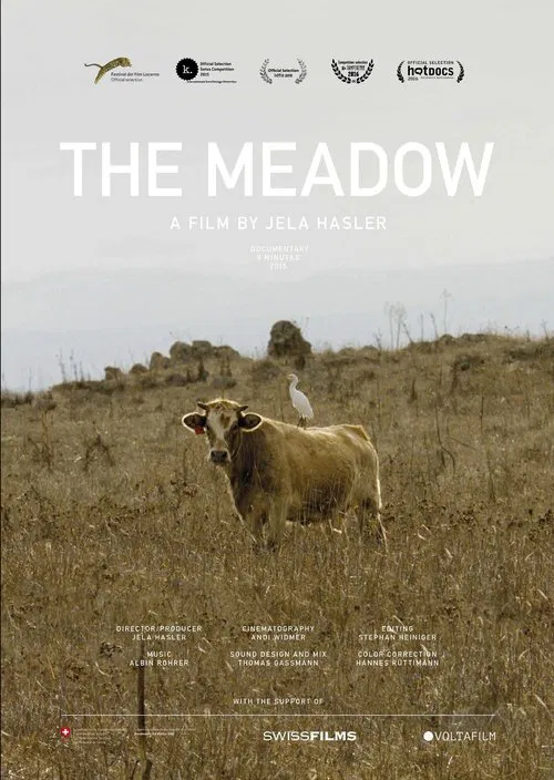Poster do filme The Meadow