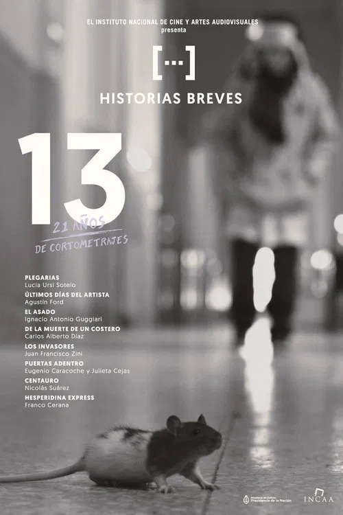 Historias Breves 13 movie poster