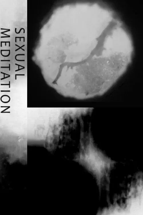Sexual Meditation movie poster