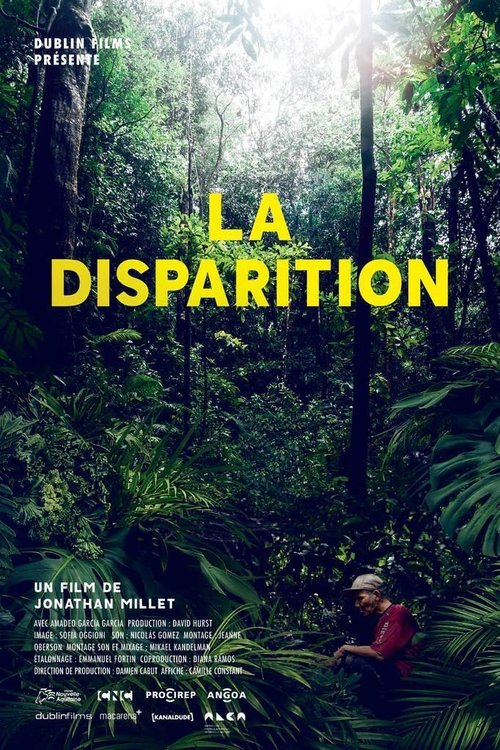 The Disappearance movie poster