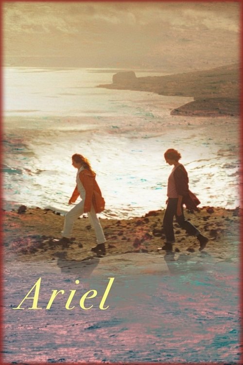Poster do filme Ariel