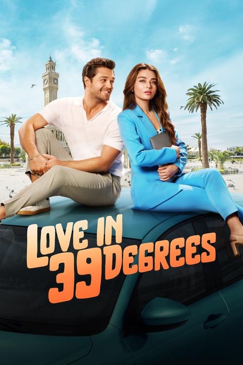 Love in 39 Degrees movie poster