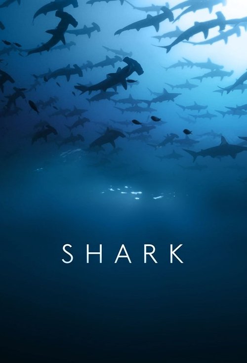 Shark movie poster