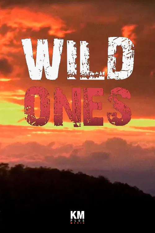 Wild Ones tv show poster