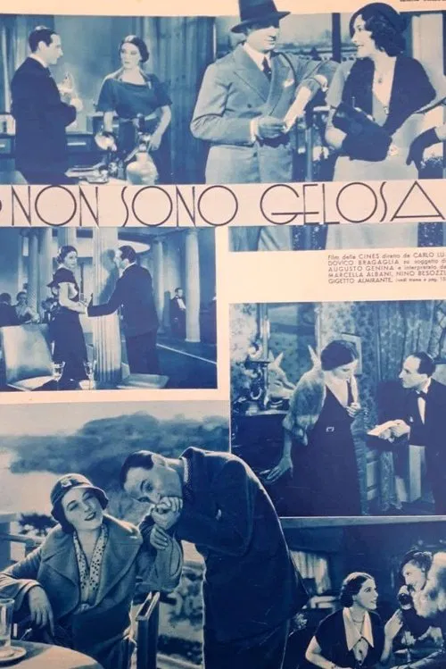 Poster do filme Non son gelosa