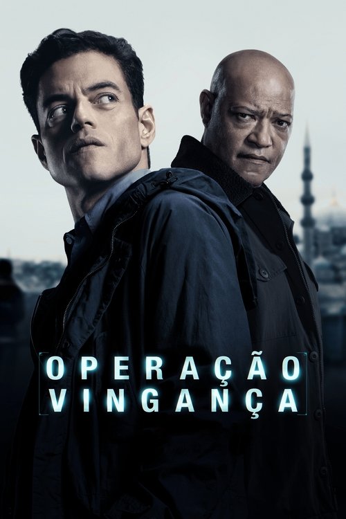 Poster do filme Operação Vingança