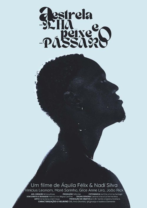 Poster do filme A Estrela-ilha e o Peixe-pássaro