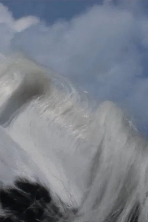 Maidenhair movie poster